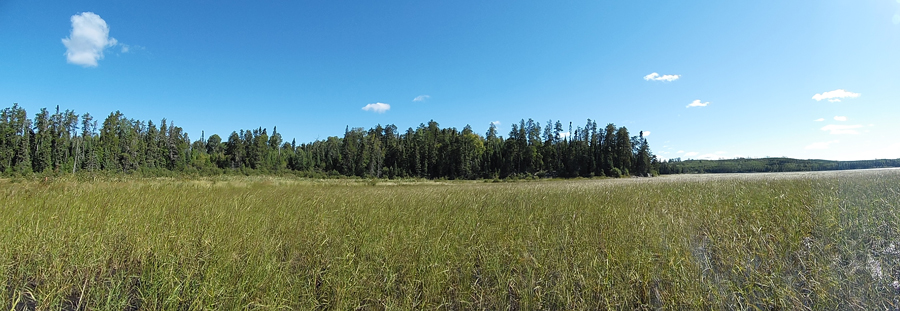 White Feather Lake in the BWCA Sundial Lake PMA